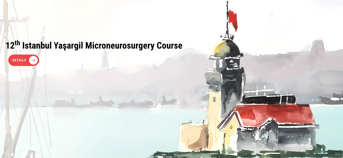 1st Congress of Yaşargil Microneurosurgery Academy- Istanbul
