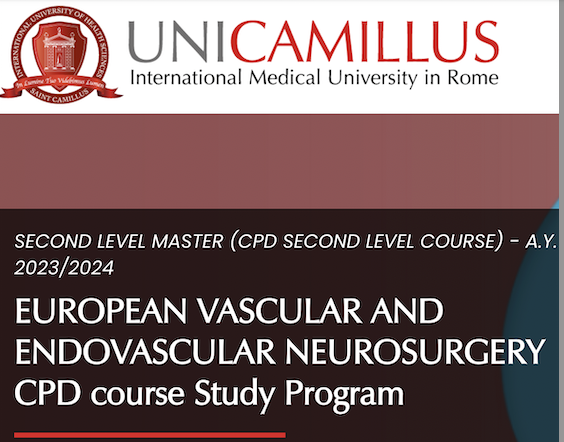 EUROPEAN VASCULAR AND ENDOVASCULAR NEUROSURGERY