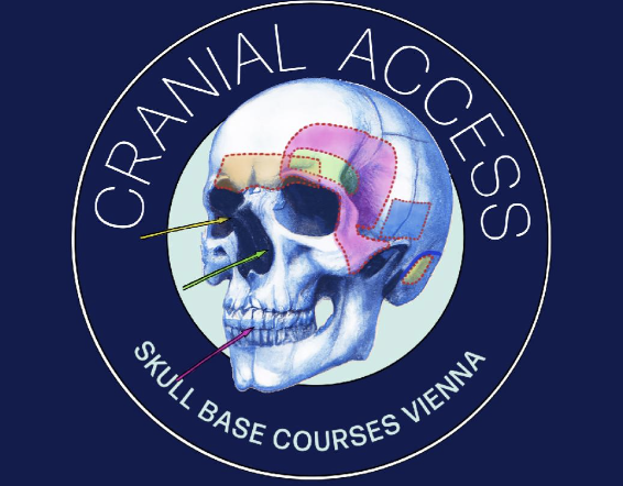 CRANIAL ACCESS - Approaches to the Skull Base -Vienna Dissection Course 2024