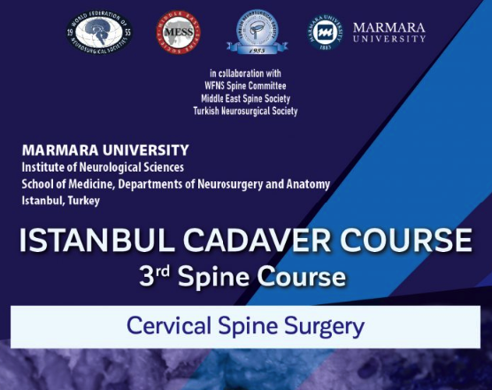 Istanbul Cadaver Spine Course, January 20 - 21, 2024